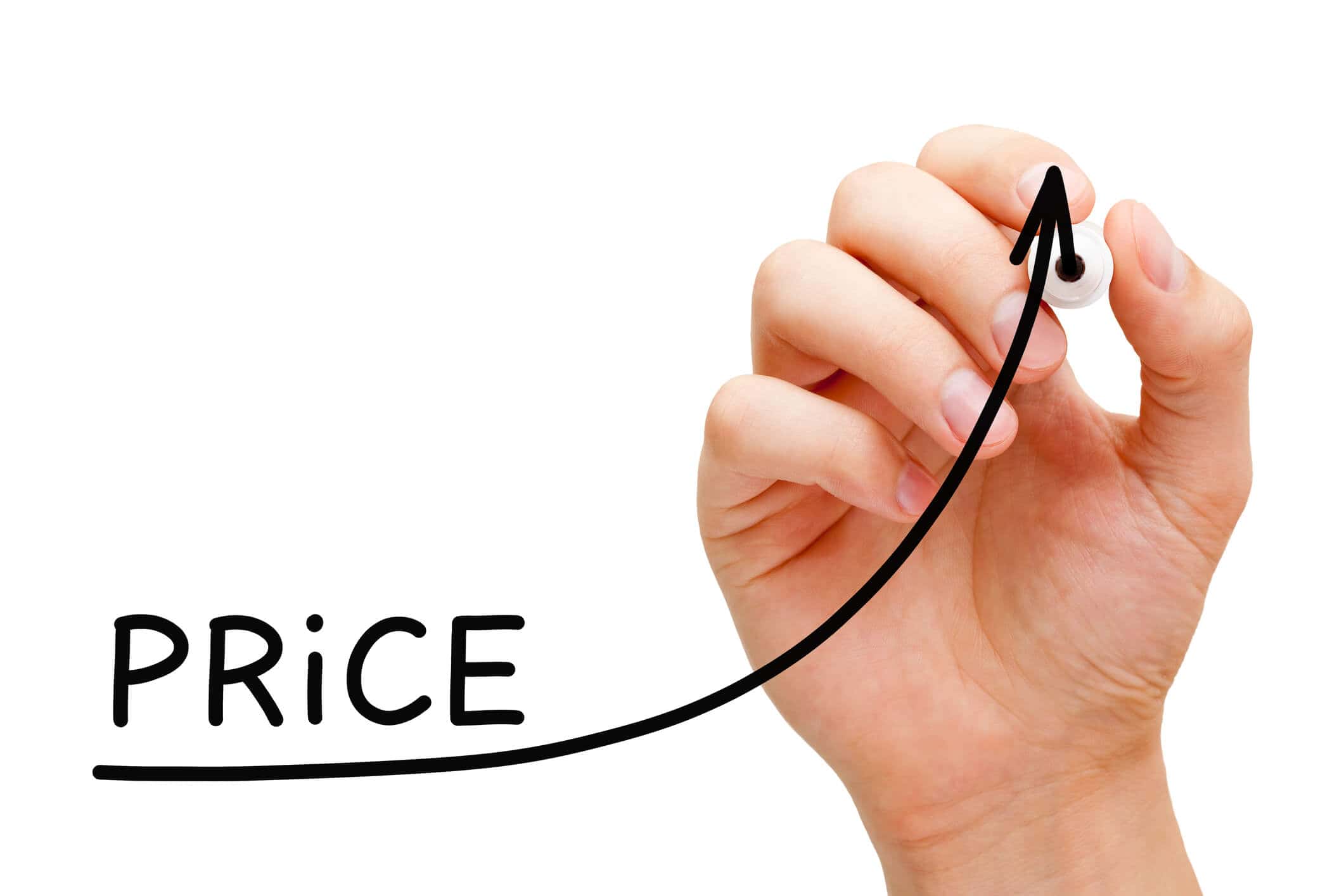 Transparent Pricing in High-Risk Payment Processing